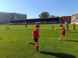TRÉNINK - HLAVNÍ STADION VIKTORIA ŽIZKOV - 