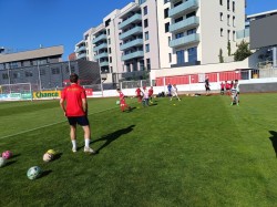 TRÉNINK - HLAVNÍ STADION VIKTORIA ŽIZKOV - 