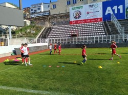 TRÉNINK - HLAVNÍ STADION VIKTORIA ŽIZKOV - 