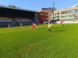 TRÉNINK - HLAVNÍ STADION VIKTORIA ŽIZKOV - 