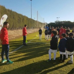 Niguez Academy Sport - 