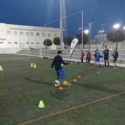 InglexSport CAMP - 